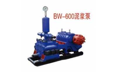 BW-600���{��