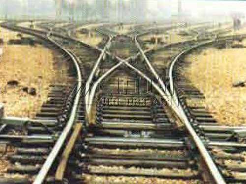 ���_����