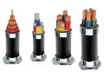 ��ȼ������|