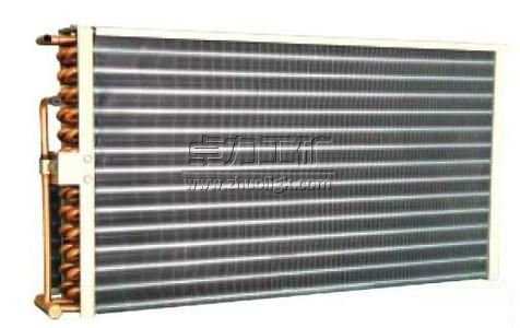 ���{������