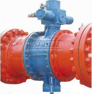 ZZBG�V�ùܵ��豬�b��